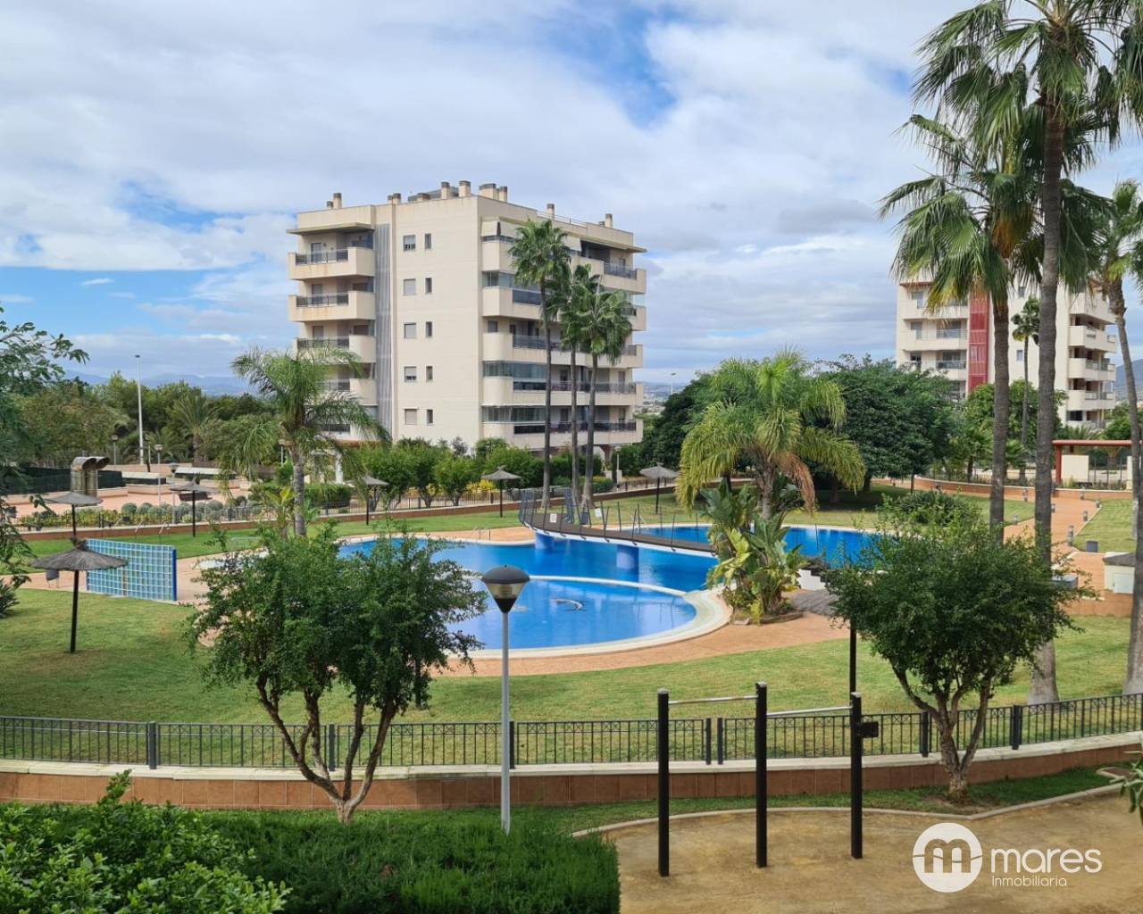 Apartamento - Venta - Arenales del sol - Arenales del Sol