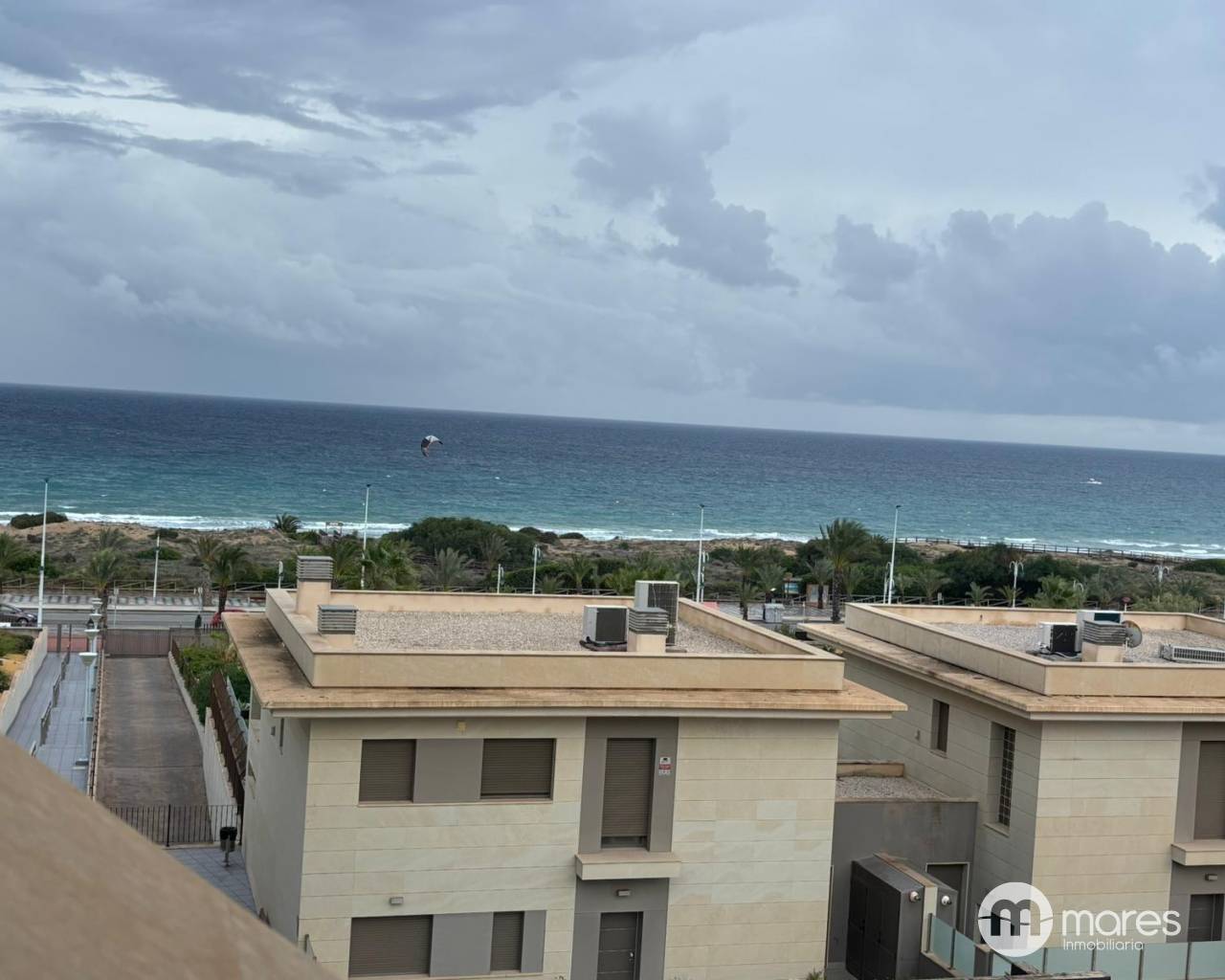 Apartamento - Venta - Arenales del sol - Arenales del Sol