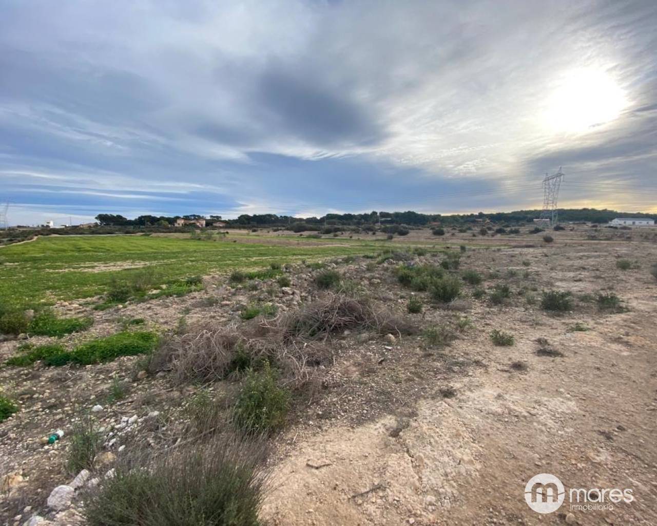 Rural Land - Sale - Elche pedanias - LA MARINA