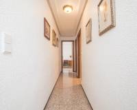 Sale - Flat - Elche - Asilo - Pisos Azules