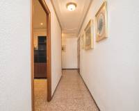 Sale - Flat - Elche - Asilo - Pisos Azules