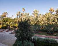 Sale - Flat - Elche - Centro