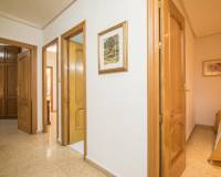 Sale - Flat - Elche - Corazon de Jesus