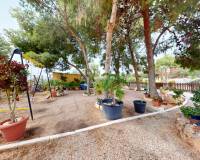 Sale - House - Crevillent - Comunidad valenciana