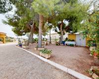 Sale - House - Crevillent - Comunidad valenciana