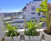 Sale - House - Guardamar del Segura - Los secanos