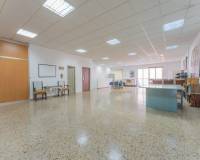 Sale - Industrial warehouse - Elche - Carrus