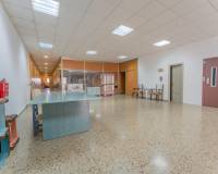 Sale - Industrial warehouse - Elche - Carrus