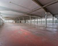 Sale - Industrial warehouse - Elche - Toscar