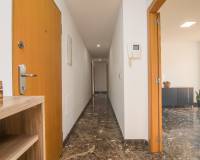 Sale - Penthouse - Elche - Raval - Puertas Coloradas