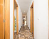 Sale - Penthouse - Elche - Raval - Puertas Coloradas