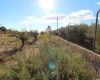 Sale - Plot of land - Elche pedanias - PEÑA LAS AGUILAS