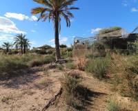 Sale - Plot of land - Elche pedanias - PEÑA LAS AGUILAS