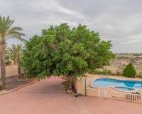 Sale - Single family house - Elche - Altabix