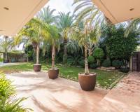 Sale - Single family house - Elche - Altabix