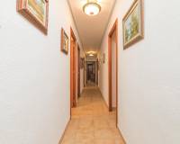 Sale - Single family house - Elche - Bonavista