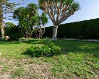 Sale - Single family house - Elche - Bonavista