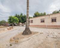 Sale - Single family house - Elche - Carrus