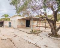 Sale - Single family house - Elche - Carrus