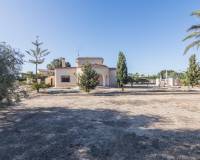 Sale - Single family house - Elche - Elche / Elx