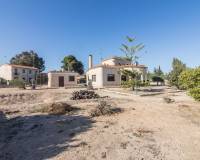 Sale - Single family house - Elche pedanias - Alzabares