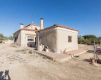 Sale - Single family house - Elche pedanias - Alzabares