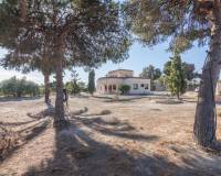 Sale - Single family house - Elche pedanias - Alzabares