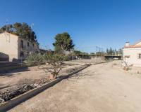 Sale - Single family house - Elche pedanias - Alzabares