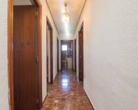 Sale - Single family house - Elche pedanias - Alzabares