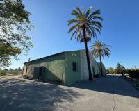 Sale - Single family house - Elche pedanias - Daimes