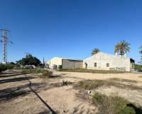 Sale - Single family house - Elche pedanias - Daimes