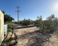 Sale - Single family house - Elche pedanias - Daimes