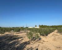 Sale - Single family house - Elche pedanias - Daimes