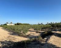 Sale - Single family house - Elche pedanias - Daimes