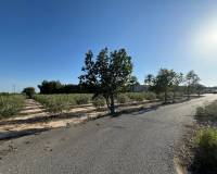 Sale - Single family house - Elche pedanias - Daimes