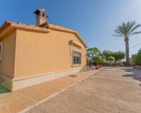 Sale - Single family house - Elche pedanias - Jubalcoy