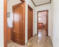 Sale - Single family house - Elche pedanias - La hoya