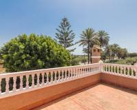 Sale - Single family house - Elche pedanias - La hoya