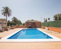 Sale - Single family house - Elche pedanias - La hoya