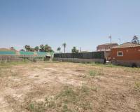 Sale - Single family house - Elche pedanias - La hoya