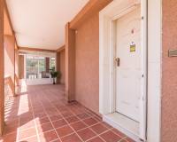 Sale - Single family house - Elche pedanias - La hoya