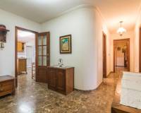 Sale - Single family house - Elche pedanias - La hoya