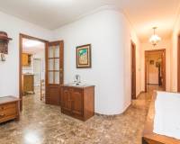 Sale - Single family house - Elche pedanias - La hoya