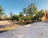 Sale - Single family house - Elche pedanias - PEÑA LAS AGUILAS