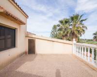 Sale - Single family house - Elche pedanias - PEÑA LAS AGUILAS