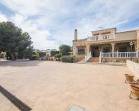 Sale - Single family house - Elche pedanias - PEÑA LAS AGUILAS