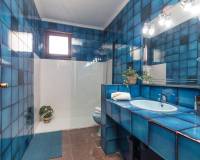 Sale - Single family house - Elche pedanias - PEÑA LAS AGUILAS