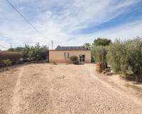 Sale - Single family house - Elche pedanias - PEÑA LAS AGUILAS