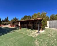 Sale - Single family house - Elche pedanias - PEÑA LAS AGUILAS