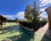 Sale - Single family house - Elche pedanias - PEÑA LAS AGUILAS